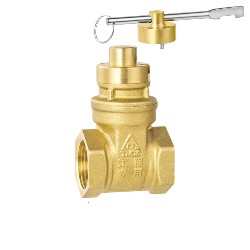 High quality brass gate valve zwave valves washout valve