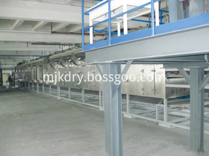 DW Mesh Belt Dryer for Flesh Vegetable