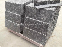 Grey Seashells Flower Marble Tile& Slab (YY-Sea Shell Flower Tile)