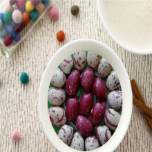 light speckled kidney beans on hot sale(round shape)