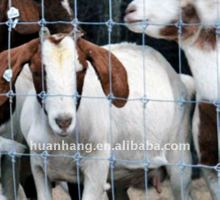 Grassland net (Good Quality )