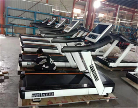 Largest Gym Equipment Manufacturer (6)