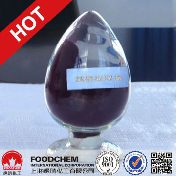 Bilberry Fruit Extract Powder