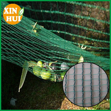 export pe heavy duty net harvest olives