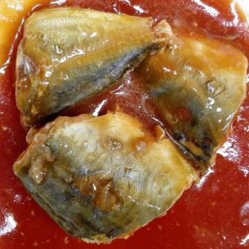 Easy Open Lid Canned Mackerel In Tomato Sauce