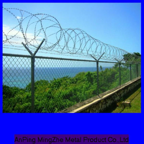 concertina razor barbed wire/razor fencing wire combat wire(ISO9001:2000)