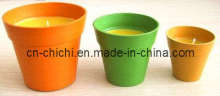 Bio-Degradable Pot with Candle (ZC-F20046)