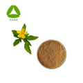 Mejora sexual masculina Damiana Leaf Extract Powder 10: 1