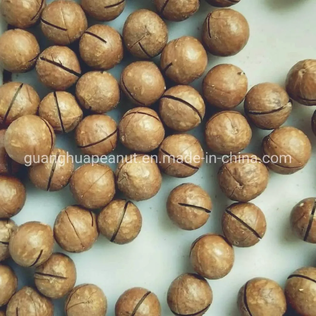 Best Quality Roasted Flavored Macadamia Nut