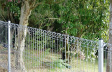Welded Wire Garden Fence