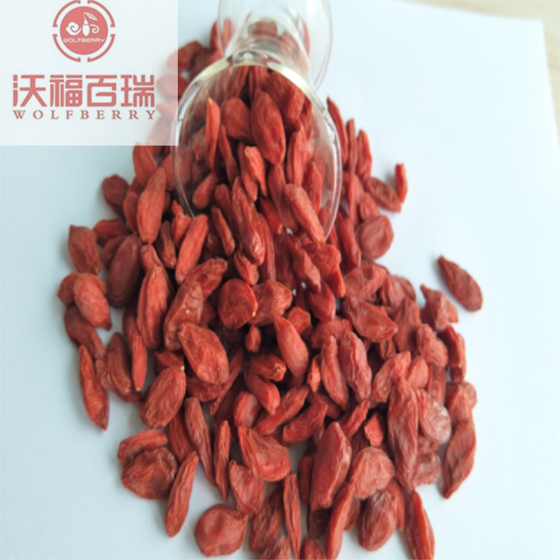 Organic Goji Berry เหมาะสำหรับวิสัยทัศน์และสายตา