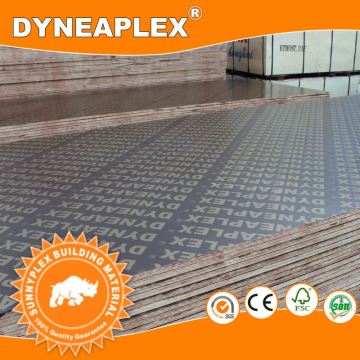 Dyneaplex Film Faced marine shuttering Plywood
Miss. Kathy