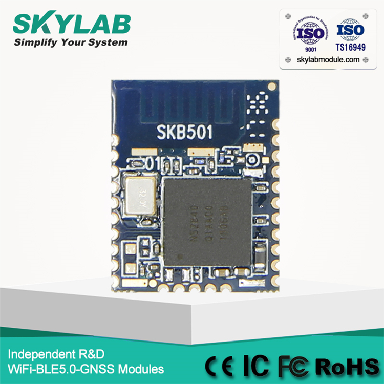 SKYLAB Wholesale Nordic nRF52840 Low Energy Transmitter Receiver Bluetooth 2.4GHz Module best price