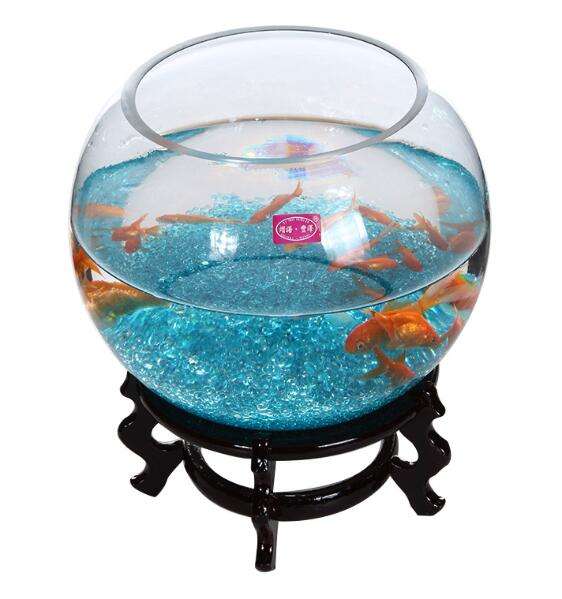 fish bowl