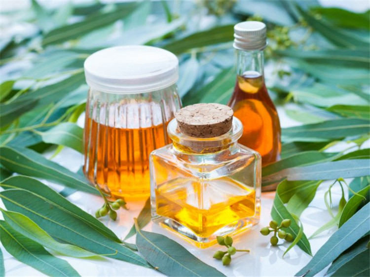 2022 hot selling pure natural eucalyptus oil bulk