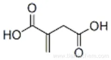 Itaconic Acid CAS 97-65-4