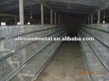 Poultry rearing cages