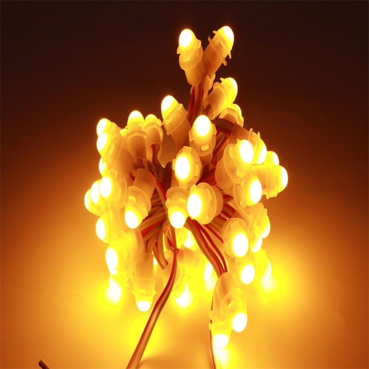 DC12V 9mm Factory Direct Sale Led pixel light IP67 Waterproof For Led Advertising Signboard Christmas tree lighting