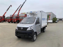 Manual 4x2 Diesel Froze Reefer Van