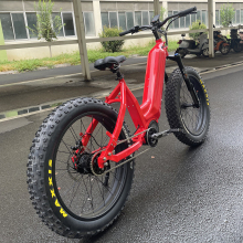 Warthog Hunting Ebike: Fat Tire Electric Bike with Rohloff 14 Speed Hub and Bafang M630 Motor