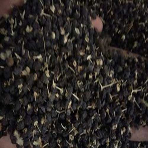 wilde schwarze Goji-Beere wild black goji berry