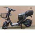 Large Lithium Battery Capacity Electric Bike Bicycle