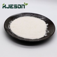 Lactase Enzyme Lactase Supplements Food additives