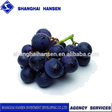 grapes shanghai import agents foreign fruits import and export agent