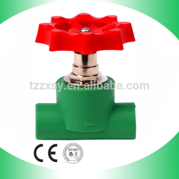 Various PPR Water Valves Gate Valve Check Valve