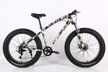 Mountain Fat Tire Snow Bike