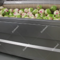 U-Shaped Polishing Machine for vegetable processing line