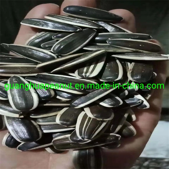Good Quality and New Crop Sunflower Seeds