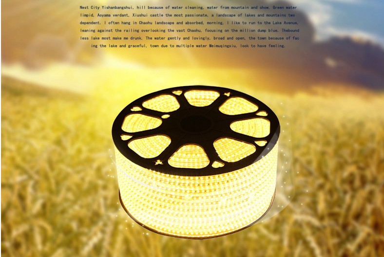 SMD 5050 50M/roll 100m/roll led 14.4w/m smd led strip 7020