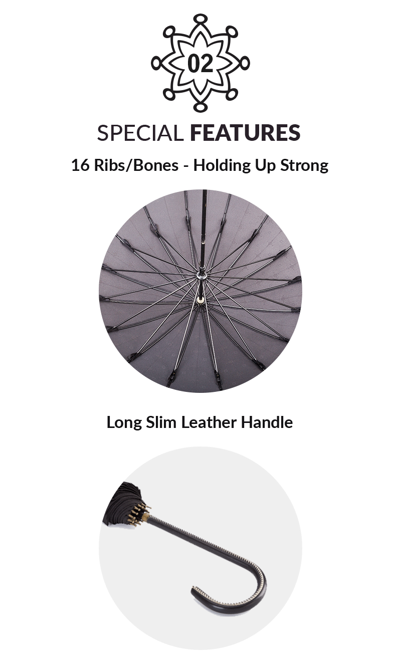 buy ladies umbrella online