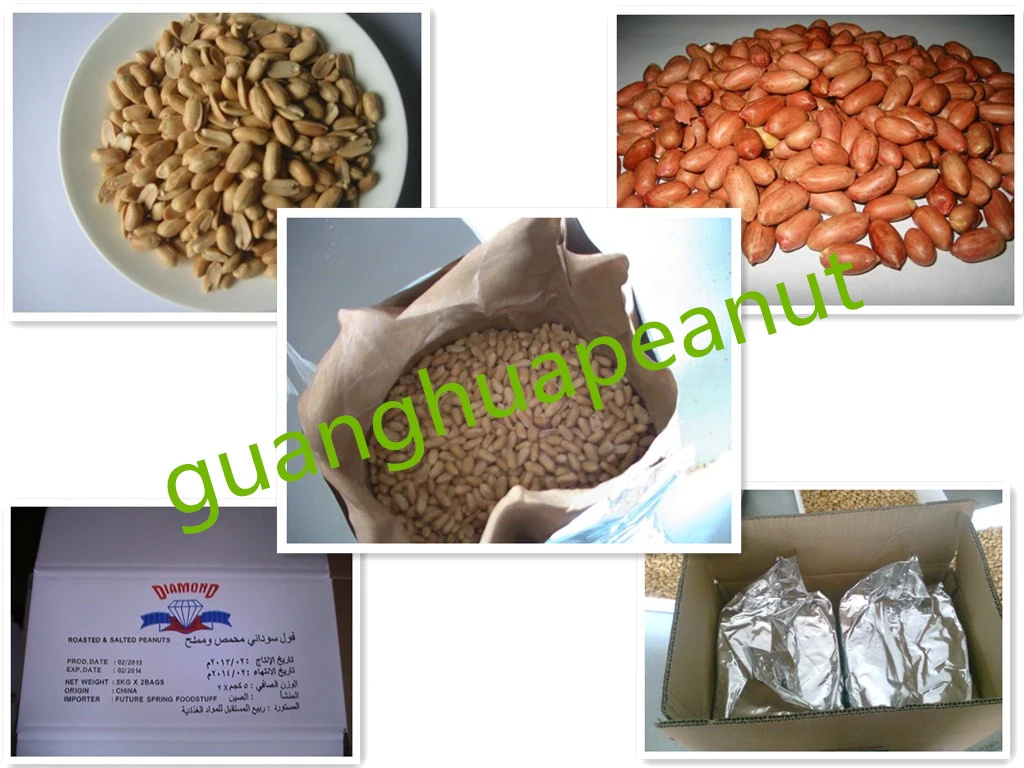 Hot Sale Roasted Peanut Kernel New Crop Origin: China