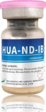 Lyophilized Newcastle Disease and Infectious Bronchitis Vaccine, Live (Strain HB1 + H120)
