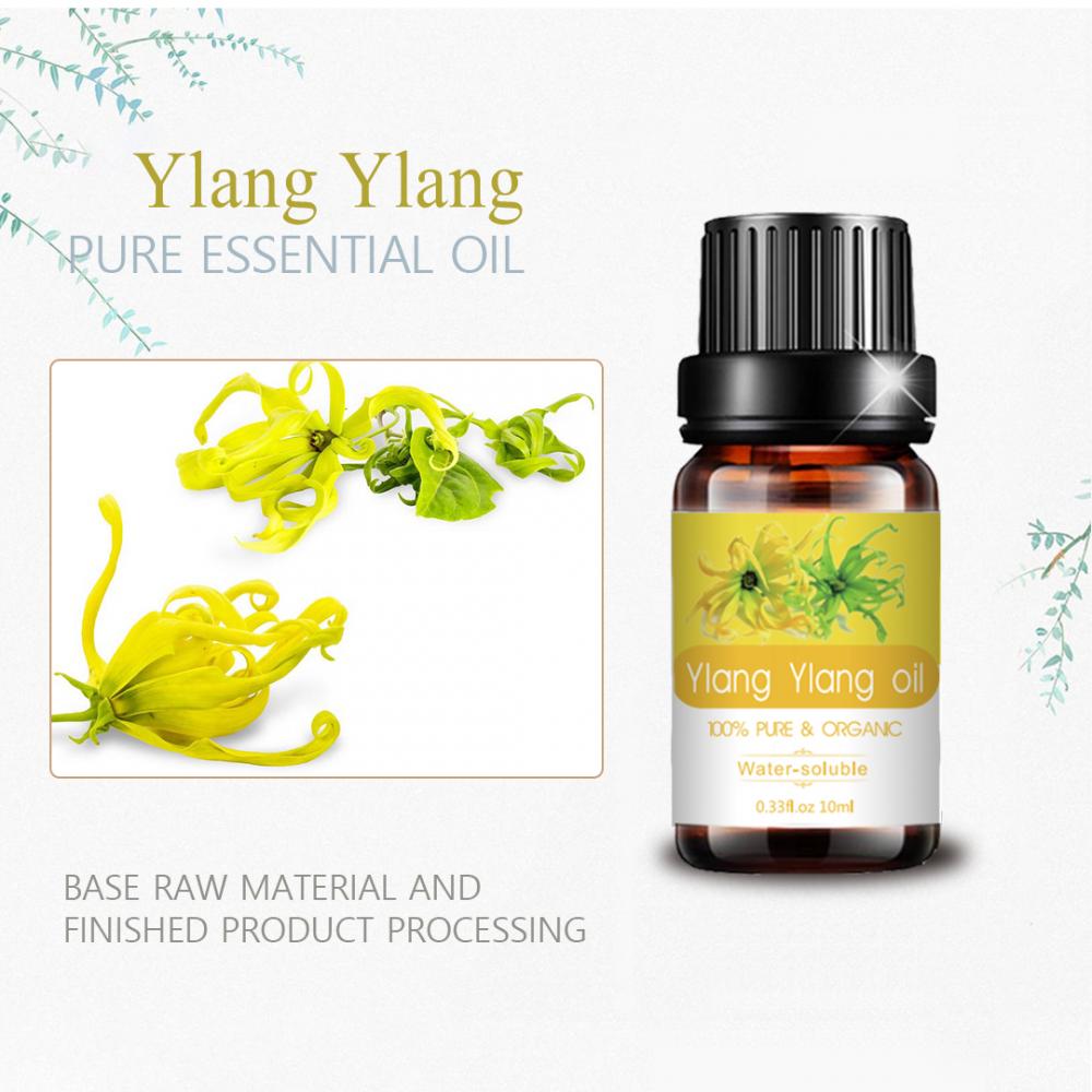 OEM Wholesale 10ml Ylang Ylang Essential Oil Bottle