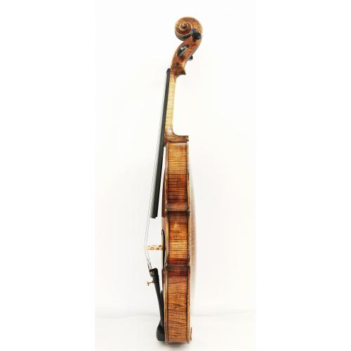 Dark brown advance violin