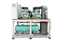 Cold storage piston parallel unit