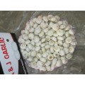 2020 Best Quality Pure White Garlic