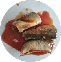 Canned Jack Mackerel Tin Fish in Tomato Sauce