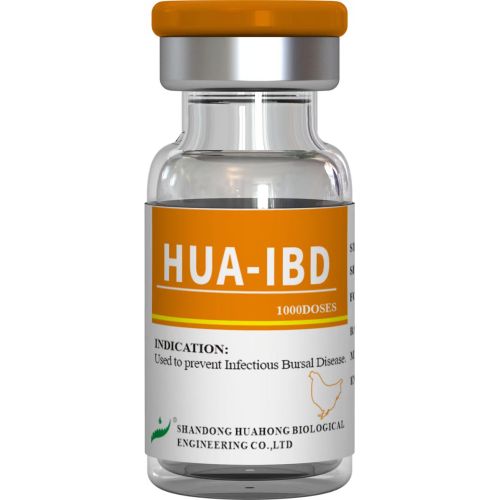 Vaccin împotriva bolii infecțioase de bursă, viu (tulpina B87)