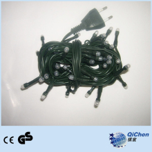 Decorative LED Rice Bulb Light