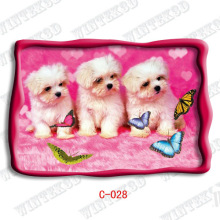 3d Boggy Picture Post Card?