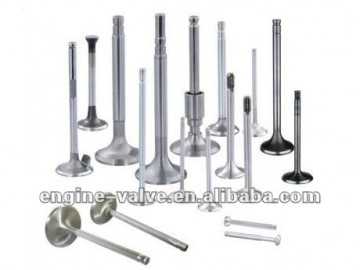 Intake &Exhaust valve