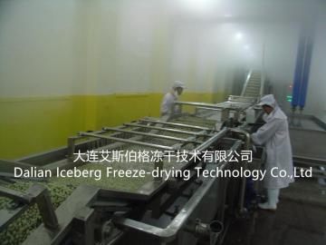 Vegetable and Fruit Pretreatment Equipment