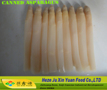 Canned asparagus