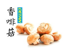 Fresh button/ crimini mushroom/ swiss brown rushroom