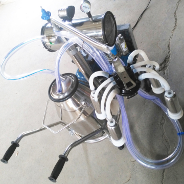 1-2 cup group with barrel milking machine