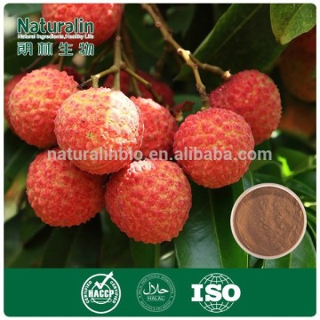 100% Natural Litchi Juice Drink Powder